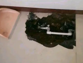 休宁卫生间测漏水多少钱